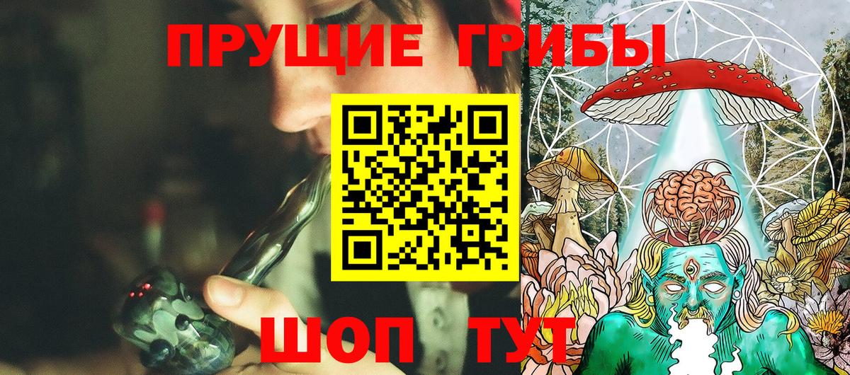 Псилоцибиновые грибы прущие грибы  Вход с VPN  Псилоцибиновые грибы GOLDEN TEACHER  Всеволожск 