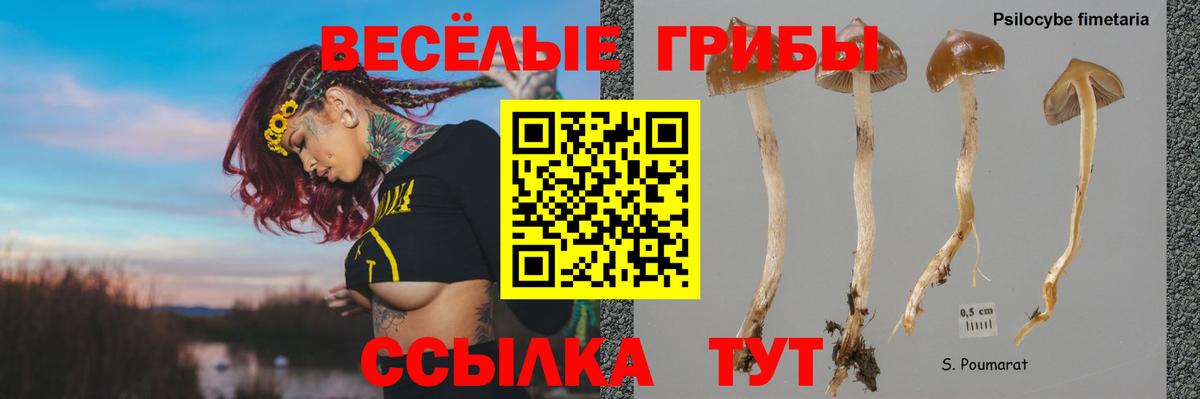 Псилоцибиновые грибы Magic Shrooms Всеволожск